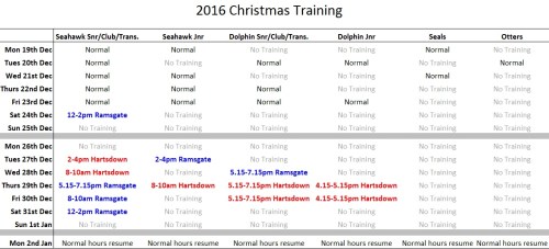 christmas-training-v3